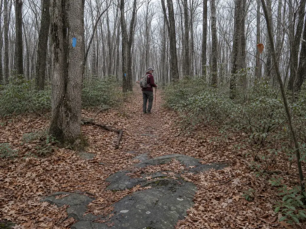 Long quiet stretch of the blue-blazed Mattabesett Trail on Lamentation Mountain, Connecticut