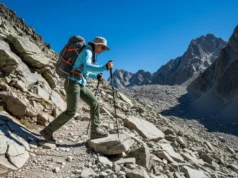 Trekking Poles 101: A Beginner’s Field-Tested Guide A full-body shot of a hiker wearing a backpack and using trekking poles to descend a steep, sunny mountain trail.