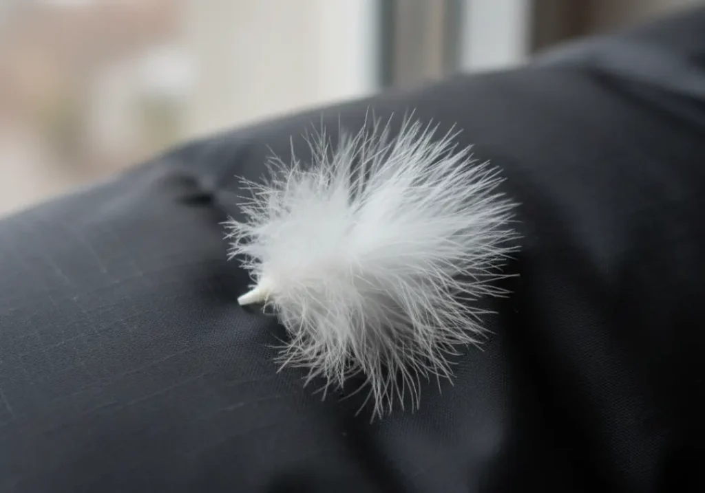 A detailed macro shot of a single white goose down cluster, showcasing its complex, high-loft structure.
