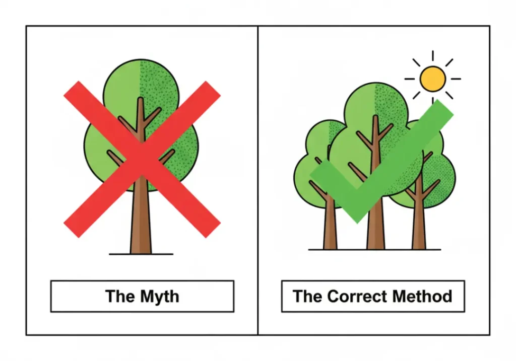 An infographic debunking the myth that moss grows on the north side of trees. The left panel shows this myth with a red X, and the right panel shows the correct method of observing shade patterns on multiple trees, marked with a green check.
