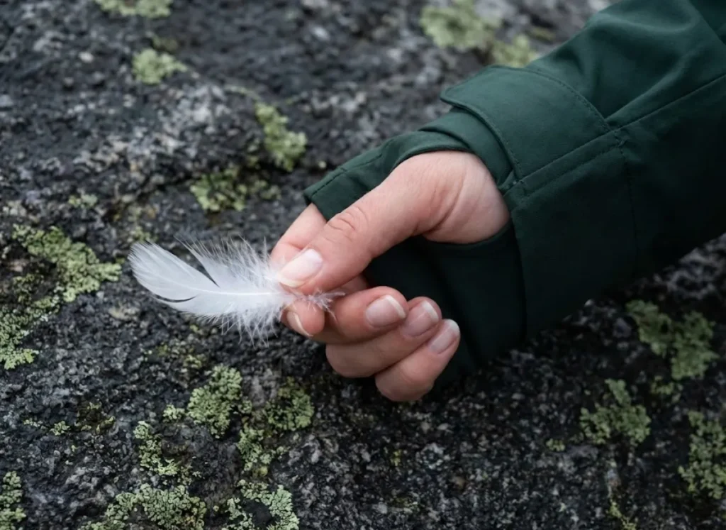 A close-up of a hiker's hand holding a single goose down feather against a rocky background.