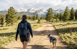 Your Dog Off Leash on Trail? Here’s What’s Actually Legal Hiker with off-leash dog on National Forest fire road with boundary sign visible