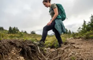 How Walker Impact Causes Trail Erosion (And How to Stop It) Hiker examining deeply eroded alpine trail with exposed roots and gully damage