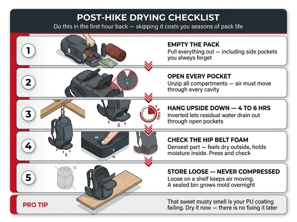 Infographic showing post-hike pack drying checklist as 5 vertical steps: empty pack, open pockets, hang upside down 4–6 hours, check hip belt foam, store uncompressed.