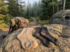 Bamboo vs Merino Hiking Socks Field Tested and Ranked Bamboo and merino hiking socks side by side on a rocky trail at sunrise