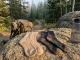 Bamboo vs Merino Hiking Socks Field Tested and Ranked Bamboo and merino hiking socks side by side on a rocky trail at sunrise