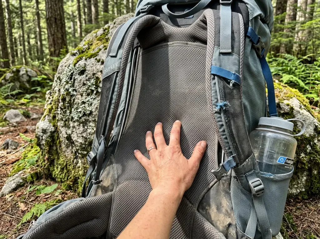 Close view of a ventilated trampoline back panel on a women's Osprey Eja 58 backpacking pack
