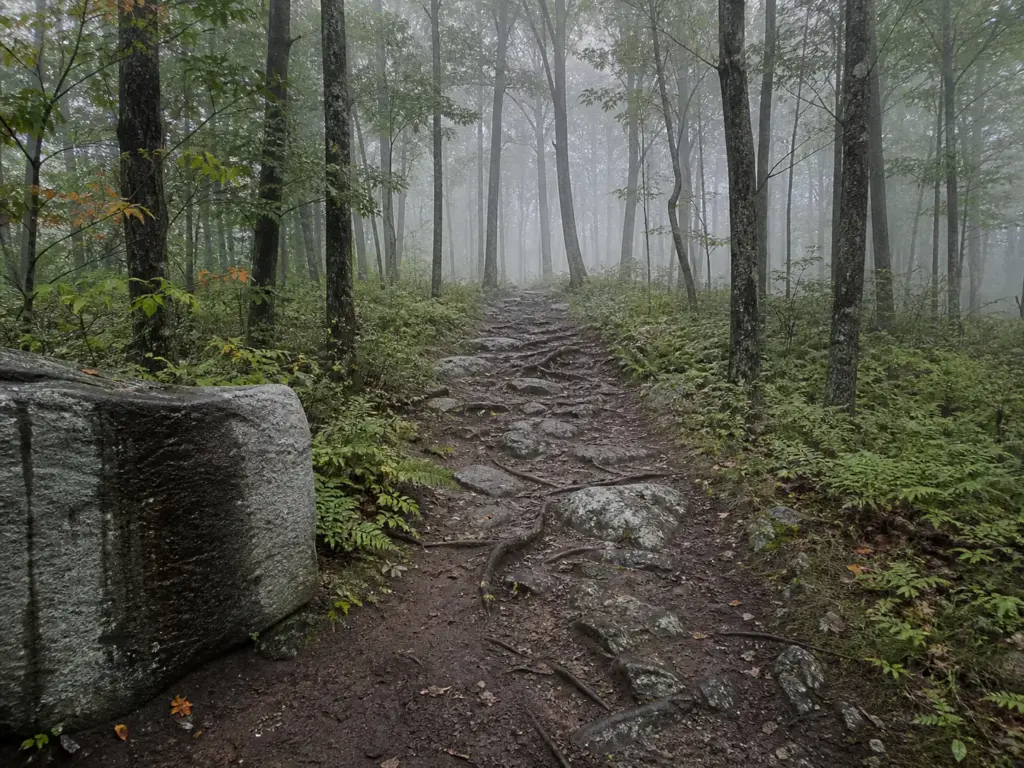 Quiet empty ridge trail through misty forest on an early morning in Sterling Forest State Park