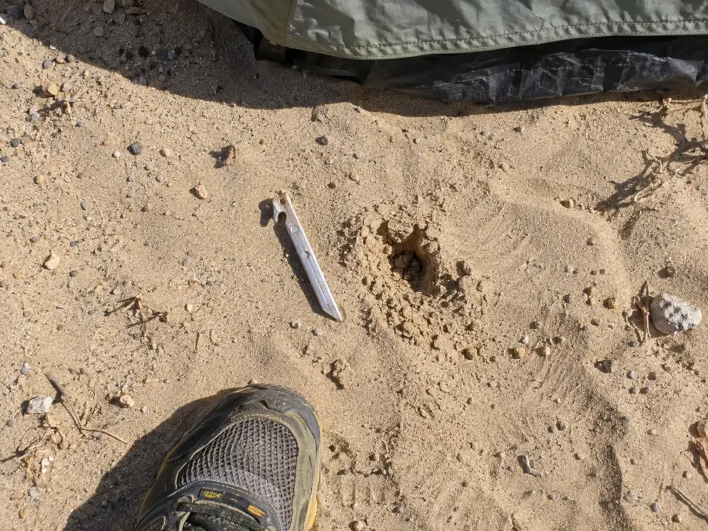 Short aluminum tent stake lying on dry sand next to the loose hole it slid out of at a beach campsite